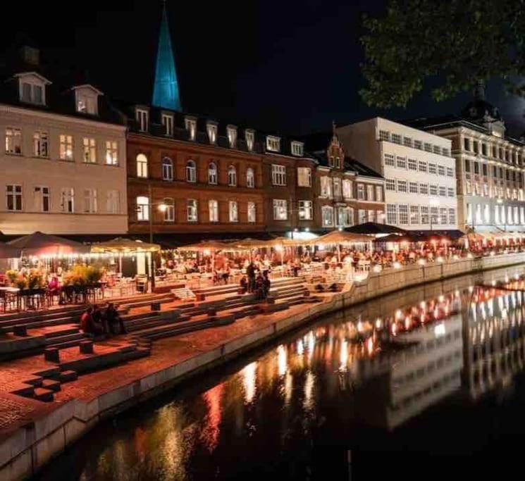 Cozy In The Most Central Part Of Lejlighed Århus